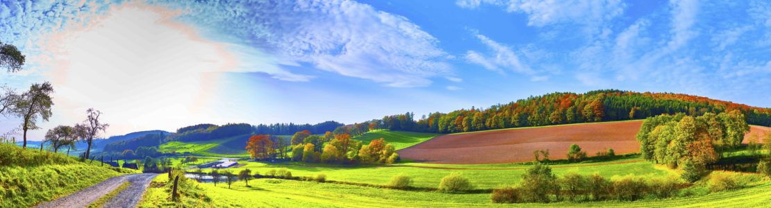 Headerbild von Region